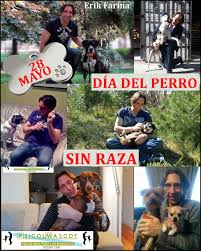 Día del perro sin raza, 28 de mayo. Psicolmascot Dia Del Perro Sin Raza