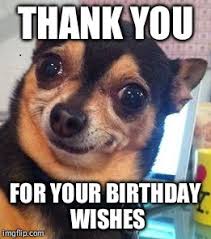 Thank you for that special birthday wish from the heart that facebook instructed and reminded you to send to me. Thank You For The Birthday Wishes 65 Truly Special Notes