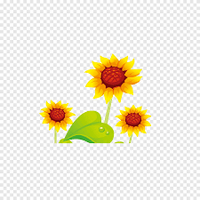 Welcome to cherryberry24 matahari png. Wallpaper Bunga Matahari Kartun Wallpapershit