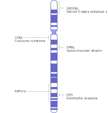 Chromosome Map Genes And Disease Ncbi Bookshelf