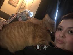 crawford county indiana animals lost and found