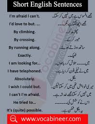1500 Daily Use Sentences With Urdu Translation Download Pdf Free In 2020 English Phrases Sentences English Vocabulary Words English Phrases