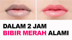 Ada beberapa penyebab mengapa bibir hitam bisa dialami perempuan. Cara Cepat Memerahkan Bibir Hitam Dalam 2 Jam Youtube