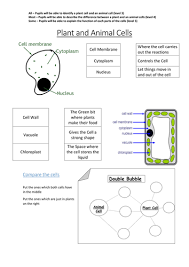 Check spelling or type a new query. Plant And Animal Cells Teaching Resources