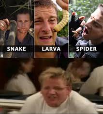 The best memes from instagram, facebook, vine, and twitter about bear grylls. My Face Everytime I Watch Bear Grylls Memes