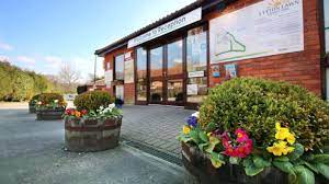 Dubs in the forest sept/oct 14. Lytton Lawn Touring Park New Forest Shorefield Holidays