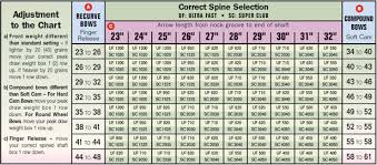 37 Symbolic Carbon Impact Arrow Chart