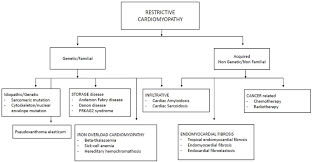 Image result for Restrictive Cardiomyopathy