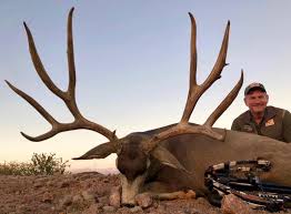 How far away should water be for mule deer? World Record Typical Mule Deer Pope And Young Got Hunts