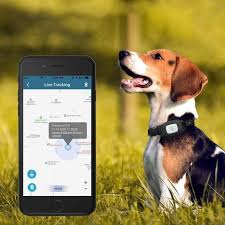 These pet tracker devices are commonly attached to pet collars for dogs and cats to provide real time round the clock tracking, so you can monitor the movements of your pets. Cat Dog Gps Tracker Pet Smart Collar Waterproof Woodood