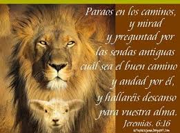 9f57ce4942de0b085615be77cdb55484 Jpg 400 296 Versiculos De La Biblia Versiculos Biblicos Imagenes Cristianas