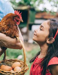 Wake up to your Health!