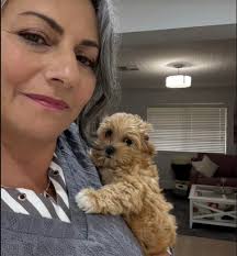 Benefits and Uses of Dandelions in Lawns and Gardens