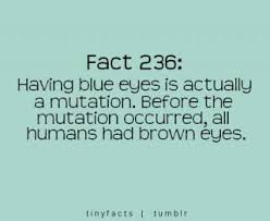 We did not find results for: 17 Funny But True Facts Blue Eye Facts Blue Eye Quotes Eye Facts