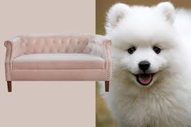 If my dog was a sofa...
