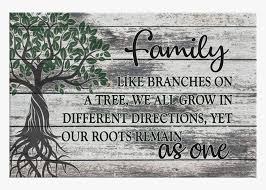 May 15, 2021 · it's critical to keep the soil moist during the first growing season so that the new tree can develop a strong root system. Roots As One Family Like Branches On A Tree We All Grow In Different Hd Png Download Kindpng
