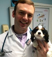 Veterinarians, Specialists & Clinics that we use and Recommend