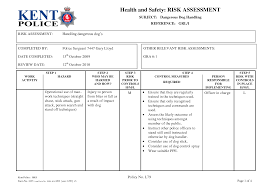 Risk Assessment Matrix Police Pursuit