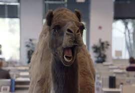 Jake wood is the voice of the geico gecko no more, and twitter is not happy. Find Out Who Voices The Geico Camel In The Hump Day Commercial Video