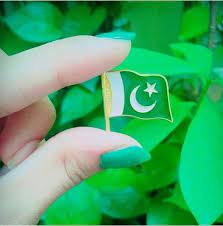 Azadi day 14 august profile & dpz images 2021. Small Pakistani Beauitful Flag Pakistan Independence Day Pakistan Independence Pak Independence Day