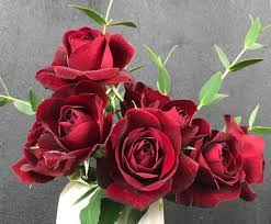 Der Valentinstag Mit Bildern Rosen Zum Valentinstag Schone Blumen Valentinstag