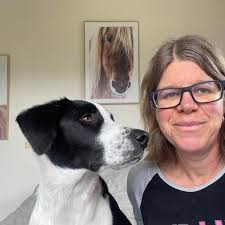 Some absolute bargains as I await the arrival of new stock, once they are  gone they are gone! The first two options, the superb draft bridle.  Anatomically cut and padded, crafted from