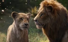 So we've put together a massive collection of lion wallpapers, each more majestic than the least. 30 The Lion King 2019 Hd Wallpapers Background Images