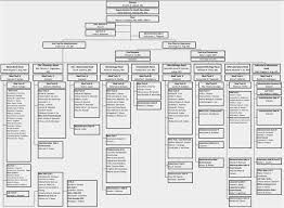 Hospital Organizational Structure Philippine General