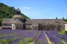 Tripadvisor has 498,830 reviews of vaucluse hotels, attractions, and restaurants making it your best vaucluse resource. 15 Fun Things To Do In Vaucluse France