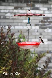 Also known as horsemint, bergamot, and monarda, bee balm is a small perennial flower that often attracts bees, butterflies, and hummingbirds in equal measure. Plant Opportunities To Attract Hummingbirds This Summer Kentucky Native Plant Society