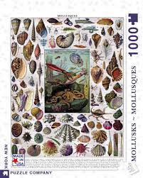 Check spelling or type a new query. Mollusks New York Puzzle Company