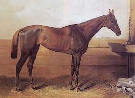 List Of Leading Thoroughbred Racehorses Wikipedia