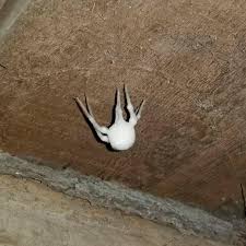 See more ideas about funny memes, memes, cursed images. Cursed Images Obviouslycursed Twitter