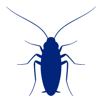Fastest pest control system ever! Your Local Pest Control Stillwater Ok Hansen Pest Control
