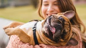 Veterinary Care in Culpeper, VA