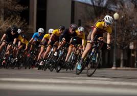 You'll find local stock car race cars, nascar championship race cars, rander cars and pace car editions. Jtrgecfdaffvhm