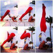 How To Master A Headstand Prep Pose Dolphin Keep The Elbows In Line With The Shoulders And The Wrists In Line With Gezond Lichaam Oefeningen Yoga Oefeningen