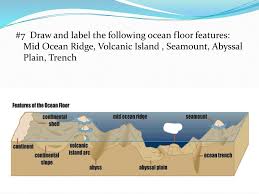 31 Ocean Floor Diagram To Label Labels Database 2020 Gather, evaluate, and communicate information to recognize the significant role of water in earth processes. 31 ocean floor diagram to label
