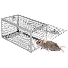 Piege A Rat Souris Vivant Pret A L Emploi 30 Cm Large Reutilisable Et Robuste Amazon Fr Cuisine Maison Shopping Cart