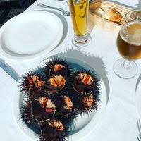 Ang iba naman, na may mga bulaklak na kasinlaki lamang ng ulo ng karayom, ay maipapasok sa isang didal. El Didal 5 Tips From 78 Visitors