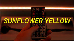 Led touch light strip color: How To Make Sunflower Yellow On Led Light Strips Custom Diy Light Strip Colors 21 Youtube