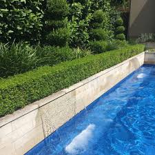 Pin On Hedges Buxus Trellis Walls