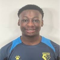 1700+ «Brobbey» profiler