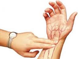 Nadi pada wanita hamil boleh mencapai sehingga 120, dan pada masa yang sama. Berapakah Denyut Nadi Normal Ayo Cek Disini