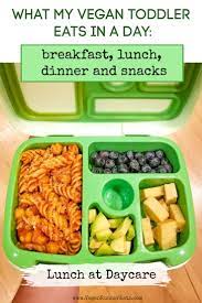 Lately, i've been sprinkling a little. What My Vegan Kid Eats In A Day An Example Of My Vegan Toddler S Menu Including Breakfast Lunch Dinner And Sn Vegan Kids Recipes Vegan Kids Vegetarian Kids