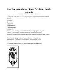 Soal pilihan ganda bab sistem pencernaan pada kali ini kami akan membagikan latihan soal ipabiologi yang membahas tentang sistem pencernaan manusia dan hewan beserta kunci jawabannya. Soal Essay Tentang Peredaran Darah Pada Manusia Lukisan