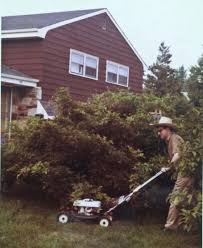 Image result for Power Lawnmower Orange 1972 Fleet