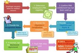 Fml Process Flow Chart Visual Depiction Of The Step By Step