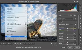 Free online smart upscaler software to enlarge images and photos (jpg, png) without losing quality. Ai Powered Super Resolution Upscaling Is Now Available In Adobe Camera Raw Diy Photography