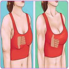 Just few touches, you will be fitness model. Updated Breast Workout Plan Firm And Lift Your Boobs Mod App Download For Pc Android 2021